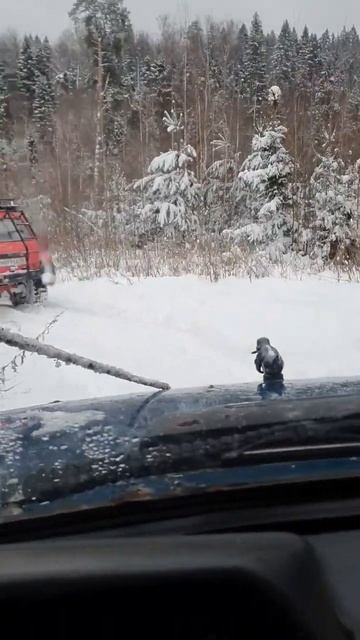 #offroad #4x4 #отчаянные #niva #джиппинг #offroading