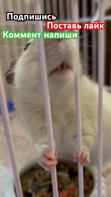 B5ebdd24ce974a7f7b829db1b5a7a1c9