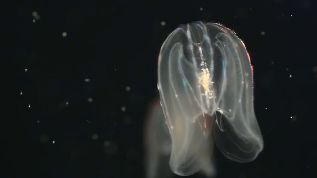 3643822c29c0c97f89f63c7610d2f4d8