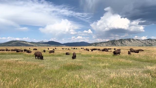Grand Teton National Park WY 🏞 ❤️