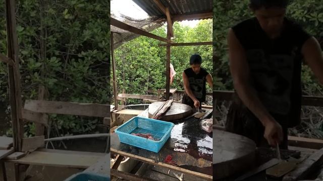 ( AGE 16 ) VIRAL FISH CUTTER LIVE IN FISH MARKET