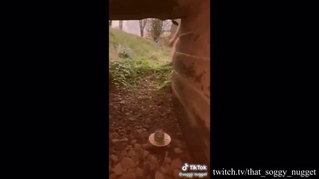 Mexikaner Salsa Meme