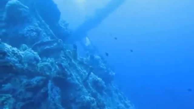 165c5c15c4779c051dcc749e8d4b471d