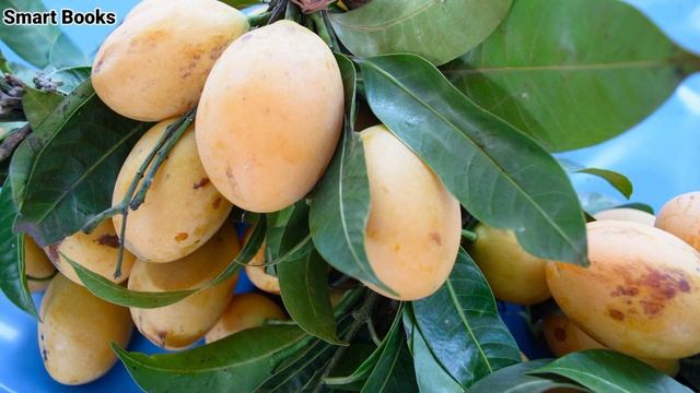 Hindi Motivational Story By Smart Books. #hindimotivationalstory