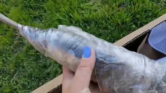 Відгук Агромаркет 26 05 22