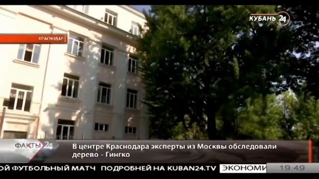 Центр древесных экспертиз «ЗДОРОВЫЙ ЛЕС»