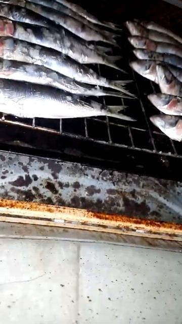 02 June  2020 - Quarantine Experiences(1)