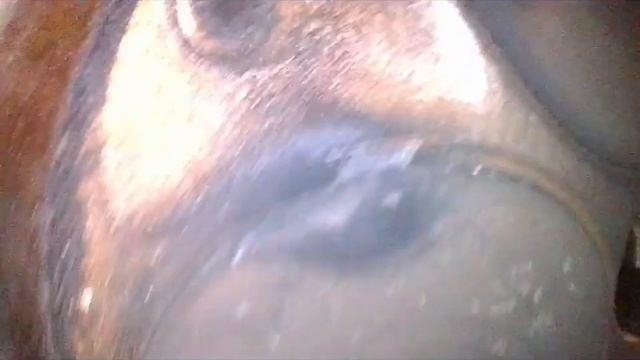 Тигуан 1.4 турбо 2010 гв эндоскопия осколки клапана в цилиндре , задиры ,жор масла