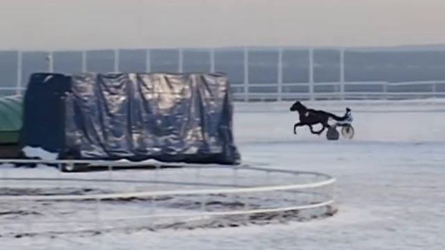 16 Декабря 2017   5 Заезд Открытый приз