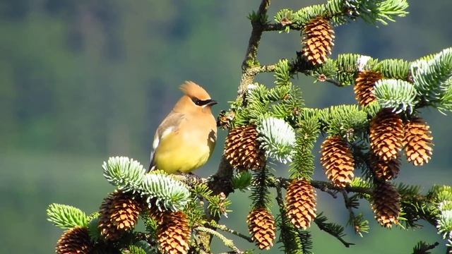 B4fc3f9078798a1994e1d27ac45ba6e5