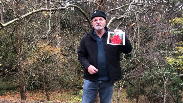 BGANZ #plantchallenge With Botanic Gardens And State Herbarium Horticultural Supervisor, Rob Hatche