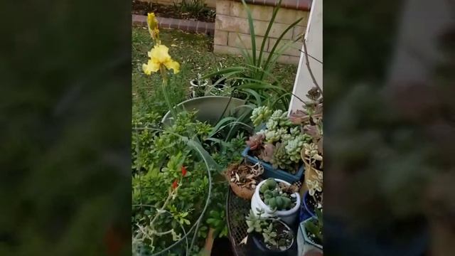 Fe37864d96490b8c872bd9a4622122de