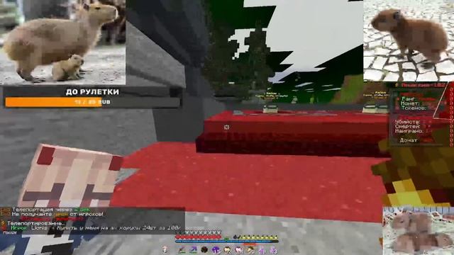 FUNTIME| Лутаю мисты, принимаю подгоны, слив 3D тотемов |FUNTIME