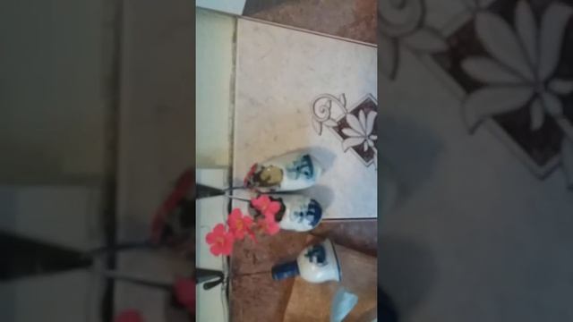 Какие арбузы растут у нас в Сибири!