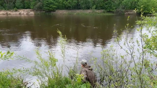 Самоловки на реке, есть результат, готовлю, рыбачу, отдыхаю!