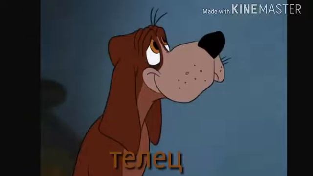 E75c5326402baee50d9d35913cb1758f