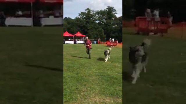 68f9ed465ae6383405ba3e55be3b3dc4