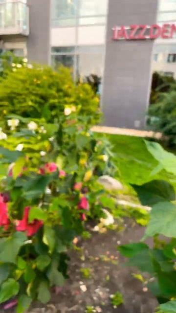 1 сентября 2022 г.