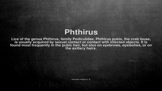 Medical Vocabulary: What Does Phthirus Mean
