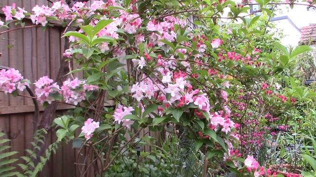 1d3228c825fe4c8dfdbbf386e13a4cad