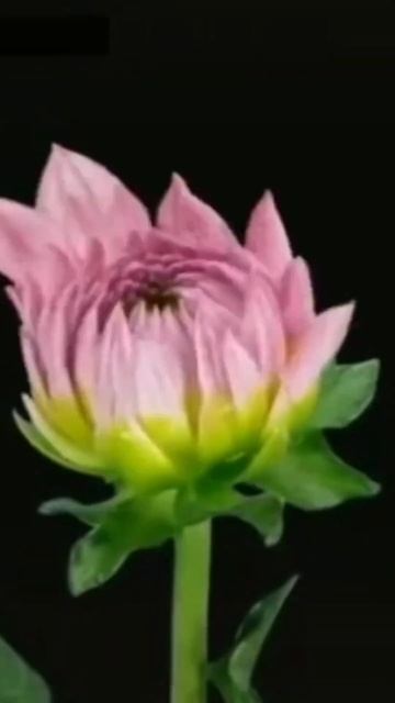 1d1ff91feffee85647a45ec2bd3e6952