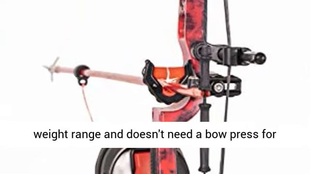 Cajun Bowfishing Shore Runner Kit Compound Bowfishing Bow Ready To Fish Kit With Arrow Rest Reviews