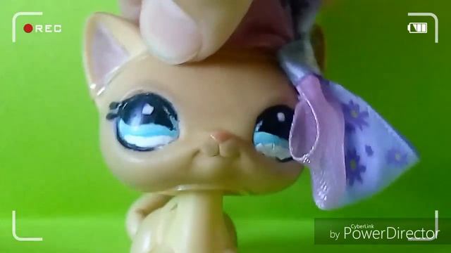 Сообщение #2