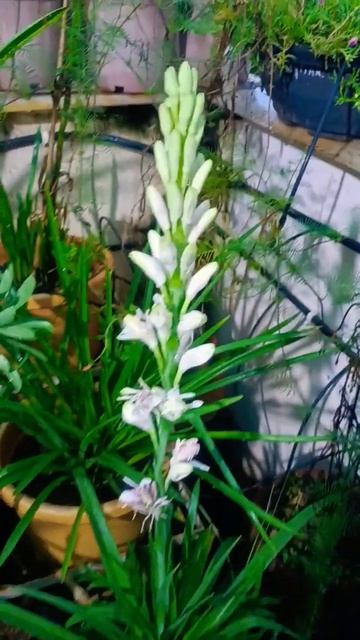 F85e4af7488c81643278bca13bd0bff9