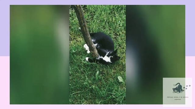 Не бойся, я тебя держу!!! || Don't Beat I Hold You!!!