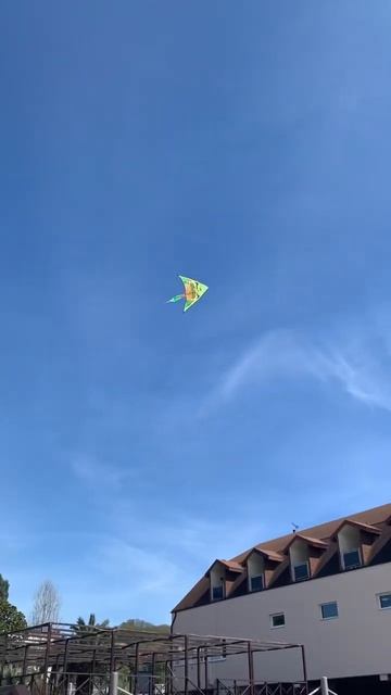 Воздушное счастье #погодки #дети #игры #юмор #семейнаяжизнь #море #воздушныйзмей