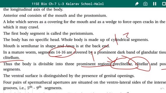 11th Sci EM Bio C07L03 Digestive System Of Earthworm