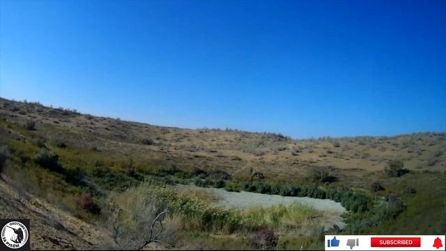 21356b7771224e882bf7a499d70bbac9