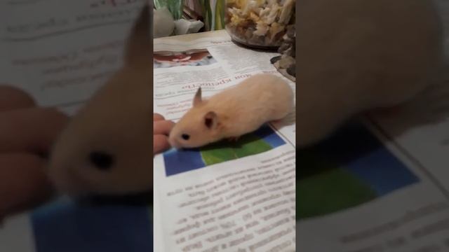 Aa692ba68095057fa83e675722a4112b