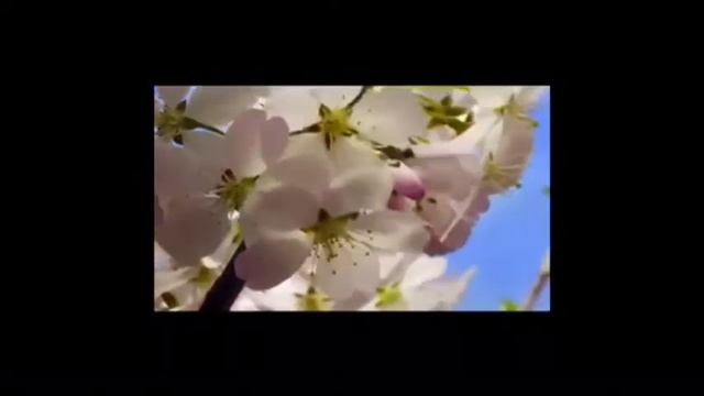 Գիտե՞ք որ գարուն է արդեն