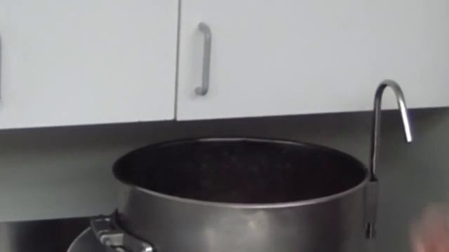 The Original Potato Peeler - Univex G-Peeler- Made In The USA!