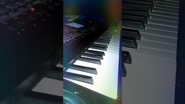 Egois Manual Korg Micro Arrangger