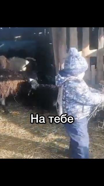 79414ad68662209ba8b319ab29d5fa3d