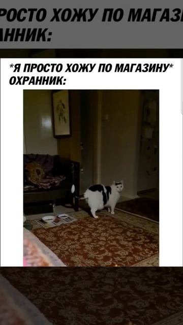 охранник в фикс прайс