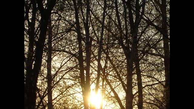 Наталия Шарова - Так наступит новый день