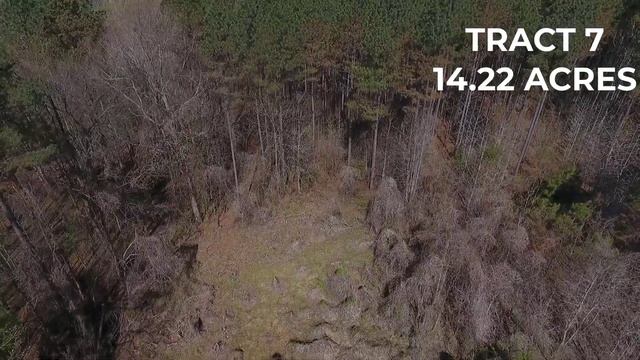 TRACT 7 KING RD MEDON, TN – 14.22 ACRES OWNER FINANCE WITH $1000 DOWN – LAND FOR SALE
