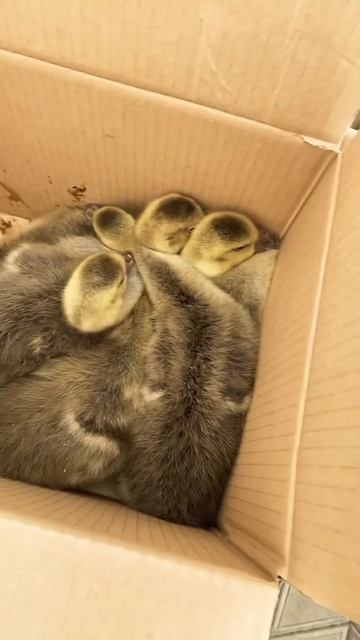 23 апреля 2023 г.