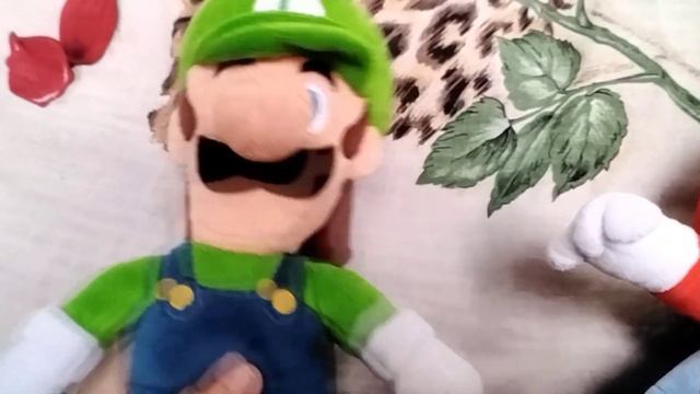 Byba Ordered Macarons At A Cafe Byba Mario Luigi Ate It.