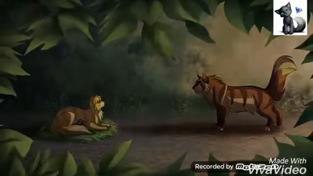 [Warriors Cats] | Коты Воители | Время нас не лечит