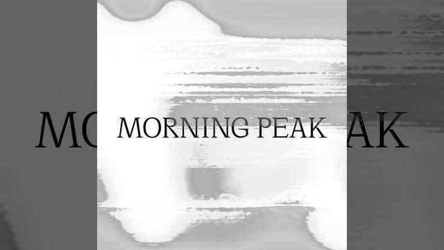 Morning Peak At Intersection With An Old Camphor Tree