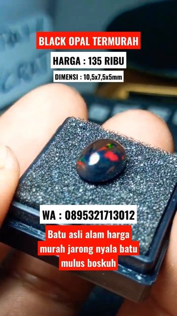 BATU BLACK OPAL TERMURAH HARGA 135RIBU #shorts #short #kalimaya #batuakik