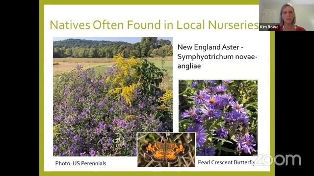 Getting Started With Native Plants
