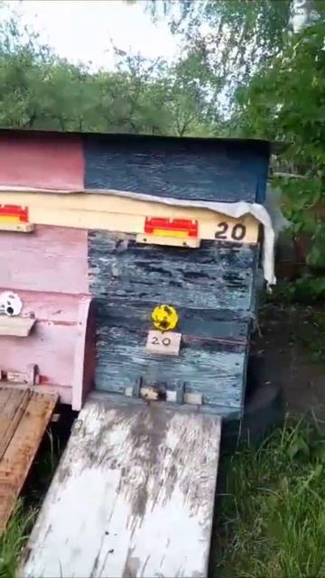 Двухматочный Лежак☝️