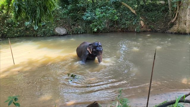 61d0655737ee9c2a48a0871cd35e493d