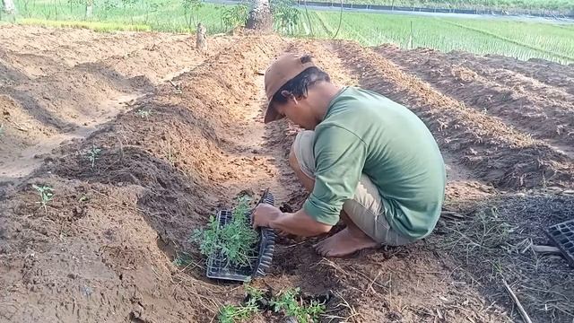 51805547025bdd8b00b1404901b0a5c5