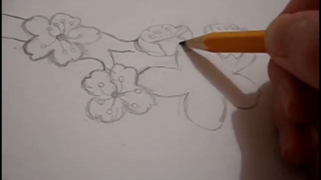 ♫ Drawing Sakura ♥Speedpaint♥